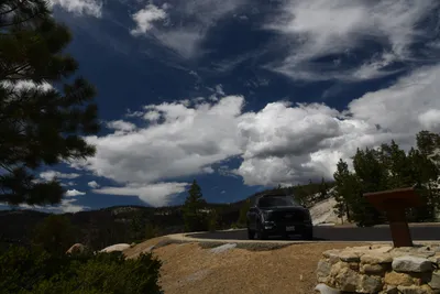 DSC_4374 (Large).JPG